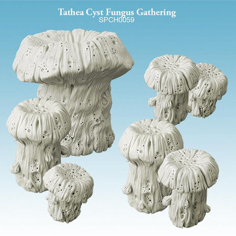 Tathea Cyst Fungus Gathering