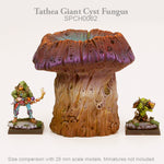 Tathea Giant Cyst Fungus