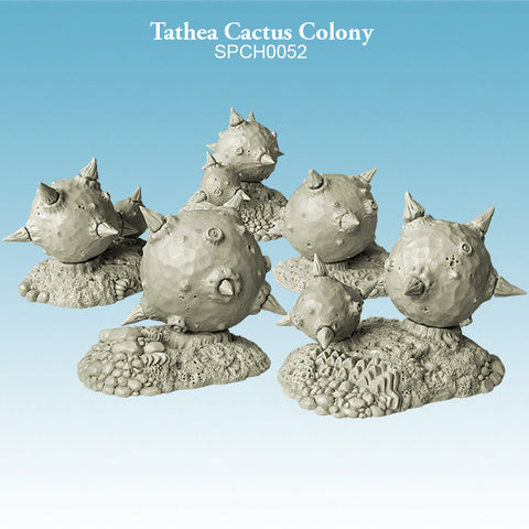 Tathea Cactus Colony